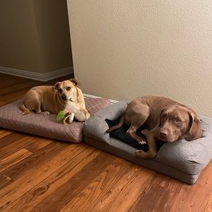 Meet your Posher, Jachira